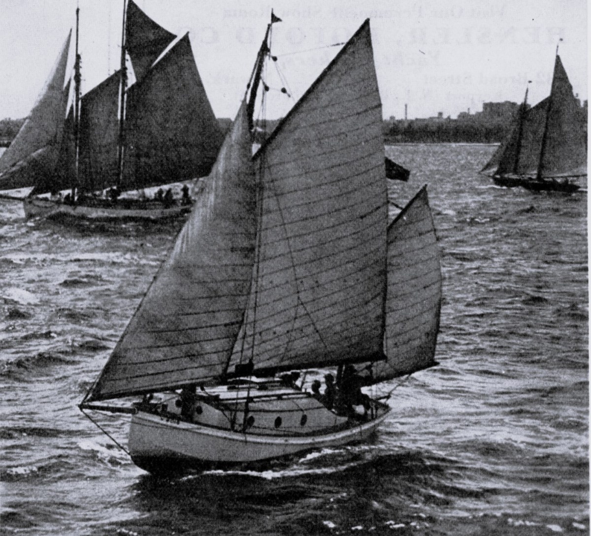 A Sea Bird Flies to&nbsp;Havana